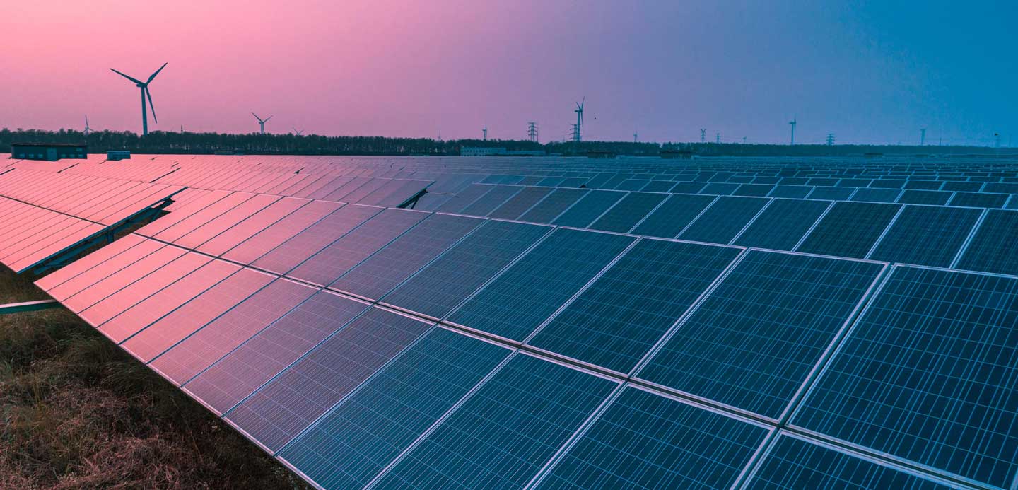 Vertical farming Vertical farming